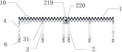 鏈條傳動(dòng)積放式滾筒輸送機(jī)