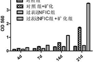 低容重、節(jié)能環(huán)保的新型建筑砌塊