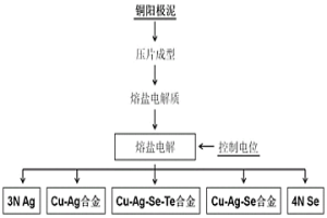 銅陽極泥熔鹽電解回收銅銀硒碲的方法