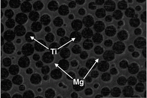 雙連通網(wǎng)狀結(jié)構(gòu)鈦-鎂雙金屬?gòu)?fù)合材料的制備方法