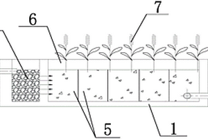 用于污水處理的人工濕地結(jié)構(gòu)