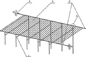 甲魚(yú)曬蓋臺(tái)