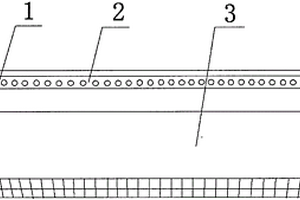 電子指導(dǎo)教學(xué)口琴