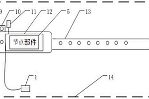 家禽體溫?zé)o線監(jiān)測裝置