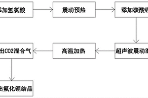 氟化鋰超聲動態(tài)反應(yīng)結(jié)晶工藝及其超聲動態(tài)反應(yīng)結(jié)晶設(shè)備