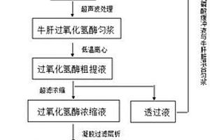 從牛肝臟中提取過氧化氫酶的方法