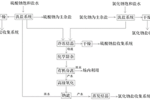 一種廢鹽資源化處理工藝及其專用設(shè)備