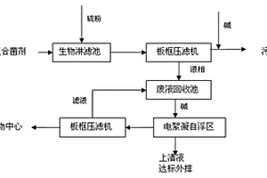 一種污水廠污泥中重金屬的脫除工藝