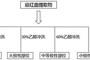 藏紅曲的質(zhì)量控制方法和構(gòu)建方法