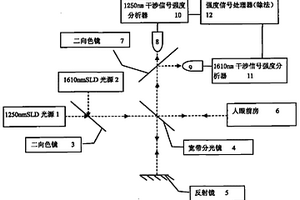 物質(zhì)濃度的無(wú)損光學(xué)檢測(cè)方法及其裝置