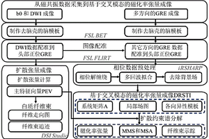 基于交叉模態(tài)的人腦磁化率張量成像方法