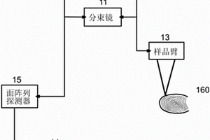 利用全像場弱相干層析成像術對身份識別的方法及結構