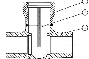 鍛焊結(jié)構(gòu)閘閥閥體