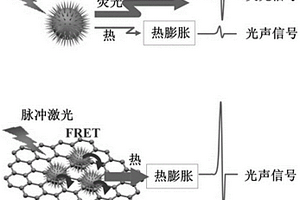 基于熒光淬滅效應(yīng)實(shí)現(xiàn)復(fù)合探針光聲信號(hào)增強(qiáng)的方法