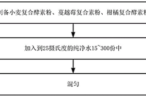 蔬果組合物飲品及其制備方法