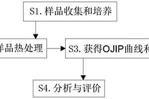 基于快速熒光誘導動力學的山核桃耐高溫性評價方法