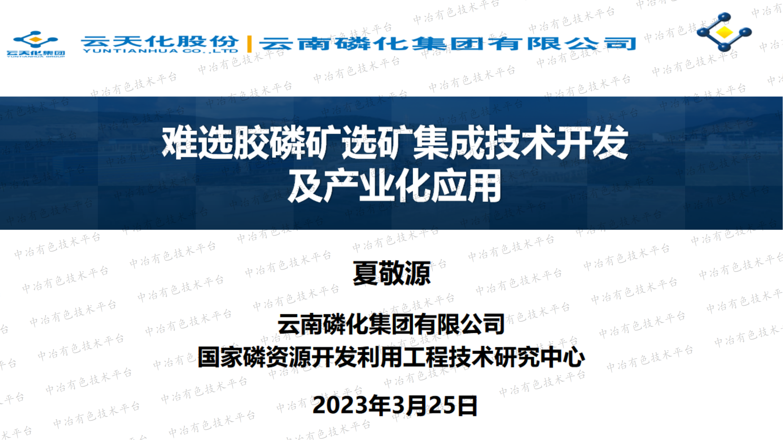 難選膠磷礦選礦集成技術開發(fā) 及產(chǎn)業(yè)化應用