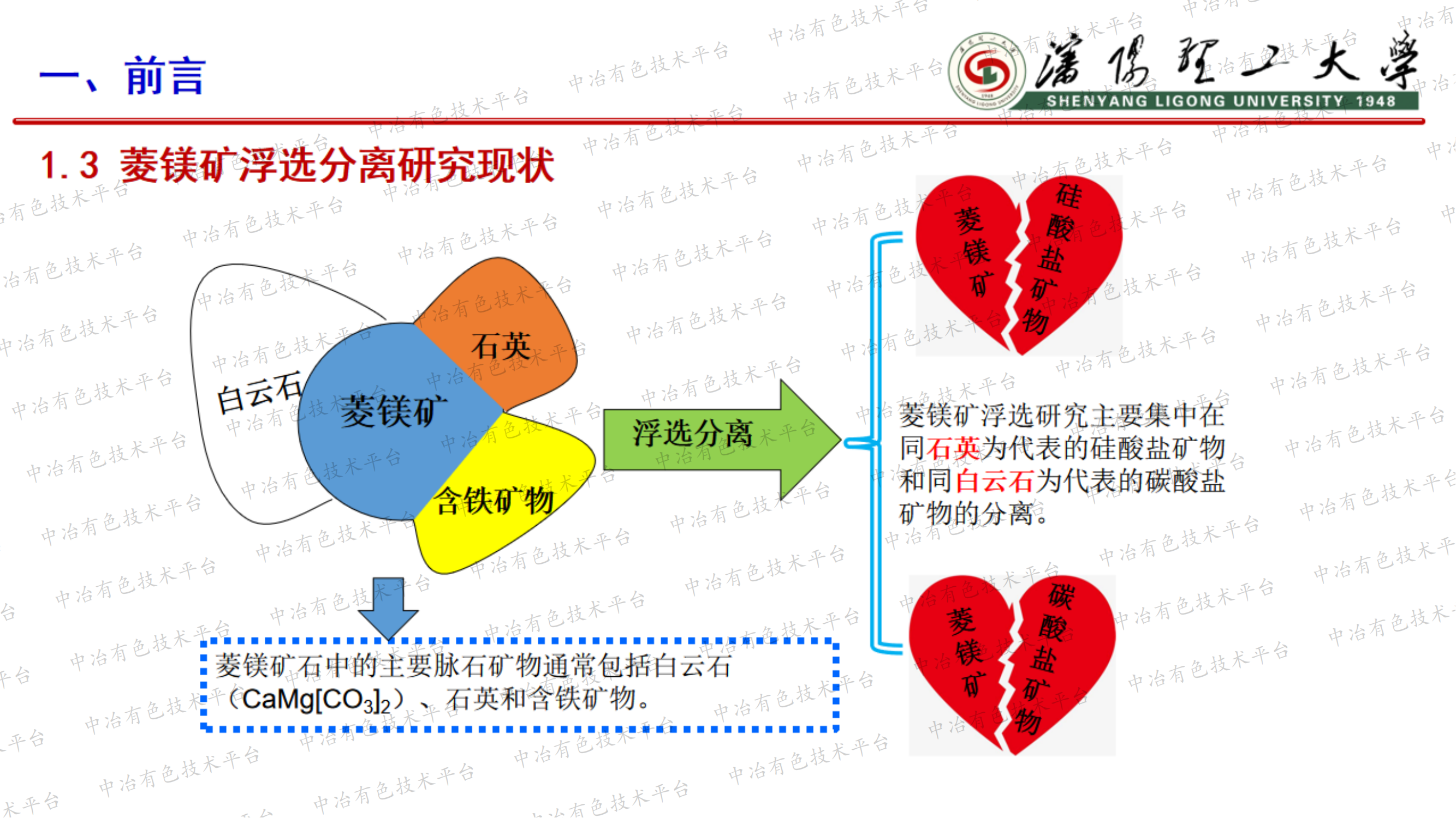 新型調(diào)整劑改善十二胺選擇性捕收菱鎂礦和石英性能機(jī)制研究