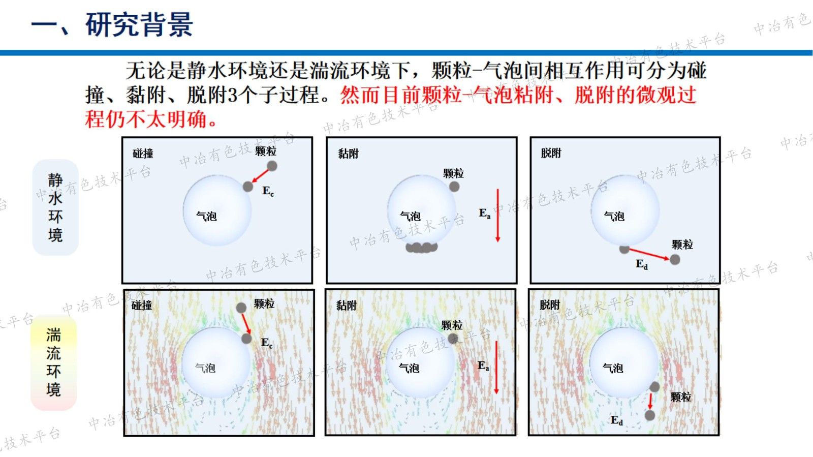 顆粒與氣泡相互作用行為研究