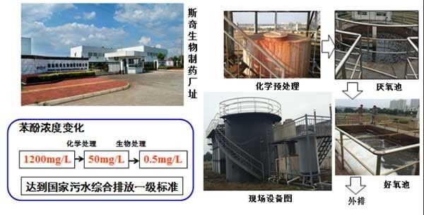 生物毒性廢水的微生物治理關鍵技術