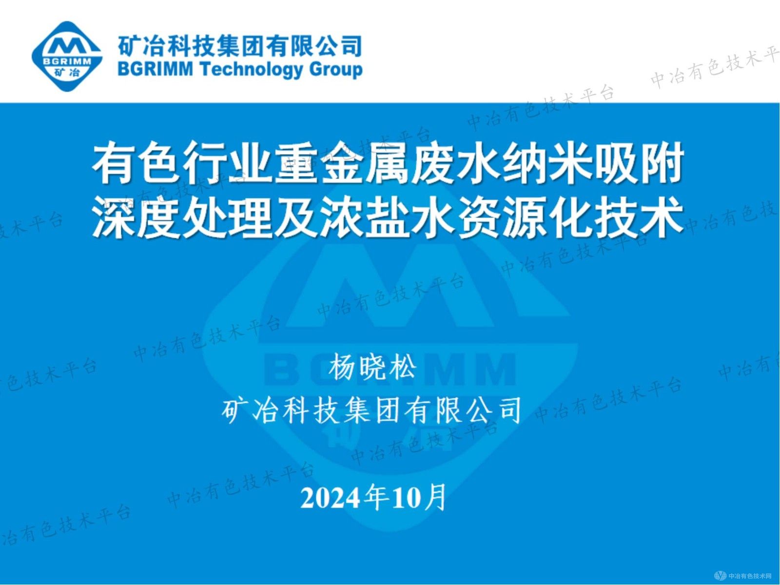 有色行業(yè)重金屬廢水納米吸附深度處理及濃鹽水資源化技術